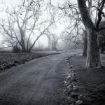 Foggy morning in Cornell