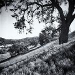 Las Virgenes Valley