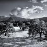 Long view, Medea Valley