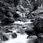 Secret Creek near Calabasas