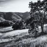 North trail, Paramount Ranch